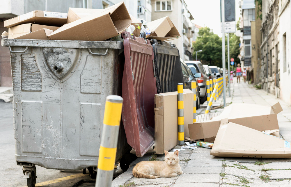 Temporary Dumpster Rental in Idaho Falls