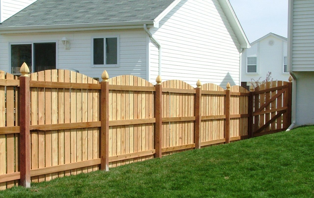 Fence Removal